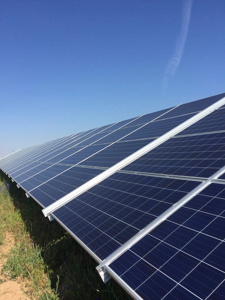Solar panels generate renewable energy